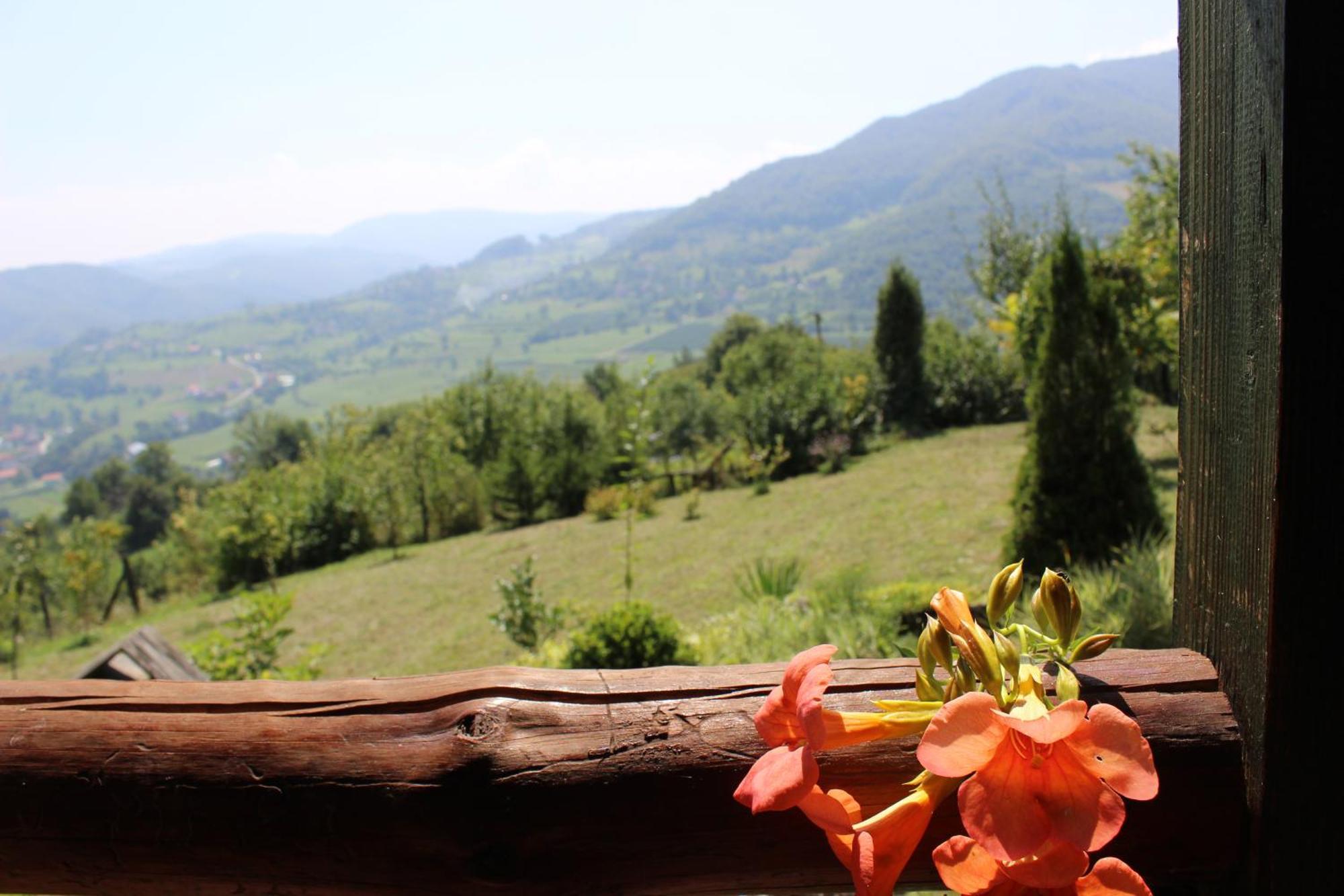 Visoko Gorani Cottage 외부 사진