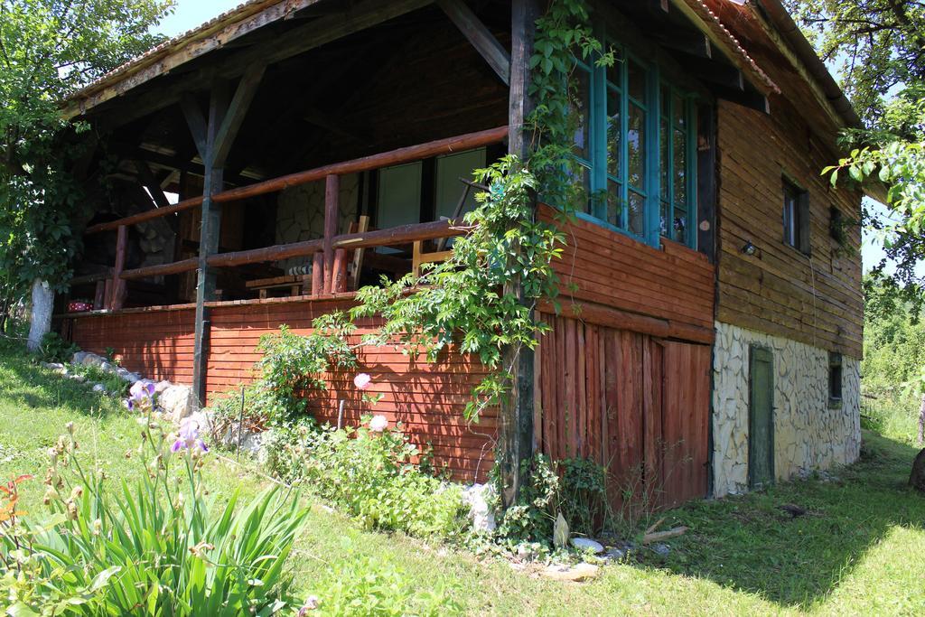 Visoko Gorani Cottage 외부 사진